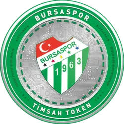 Bursaspor Fan Token (tmsh) Price Prediction