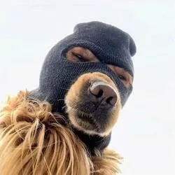 Ski Mask Dog (ski) Price Prediction