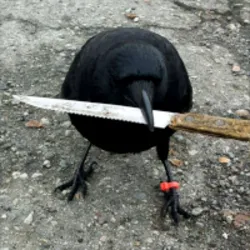 crow with knife (caw) Price Prediction