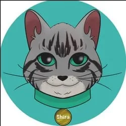 Shira Cat (catshira) Price Prediction