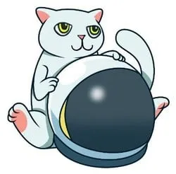 Mooncat CAT (cat) Price Prediction