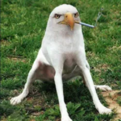 Smoking Eagle Dog (sed) Price Prediction