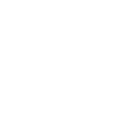 WPAY Price Prediction and Forecast for 2024, 2025, and 2030 | WPAY Future Value Analysis