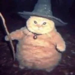 Wizard Cat (wizard) Price Prediction